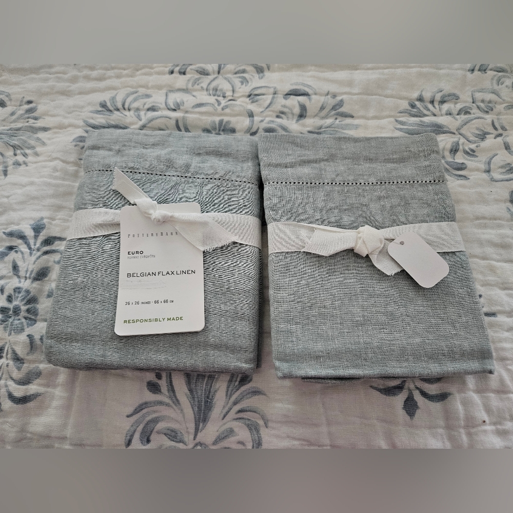 Pottery Barn Belgian Flax Linen Euro Sham in Mineral Blue